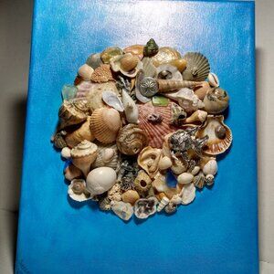 Seashells and Seaglass Collection Mixed Media With Jewelry~ Art By Sassy, Signed